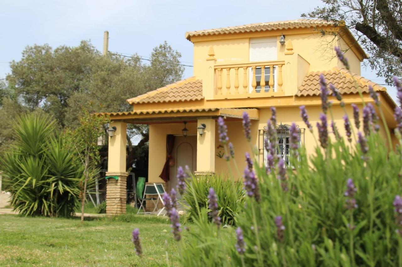 Casa Villa El Olivar Ουέλβα Εξωτερικό φωτογραφία